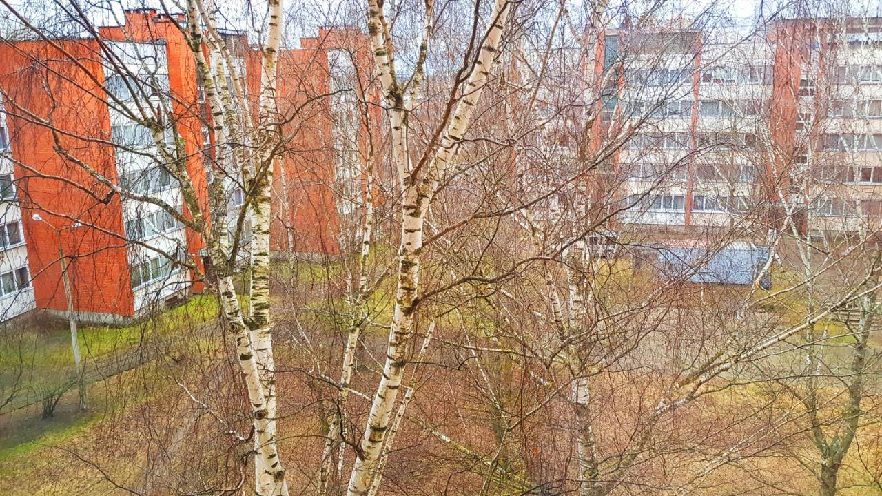 Birch View Apartment Jelgava Exterior foto